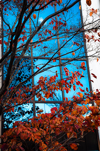 Salem, MA - Nov 2024